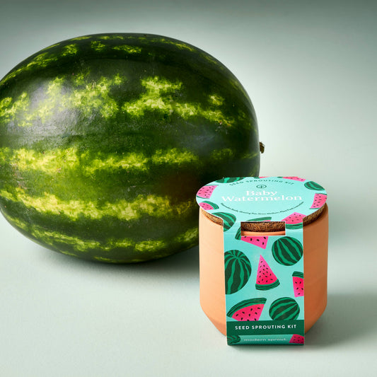 Baby Watermelon Kit