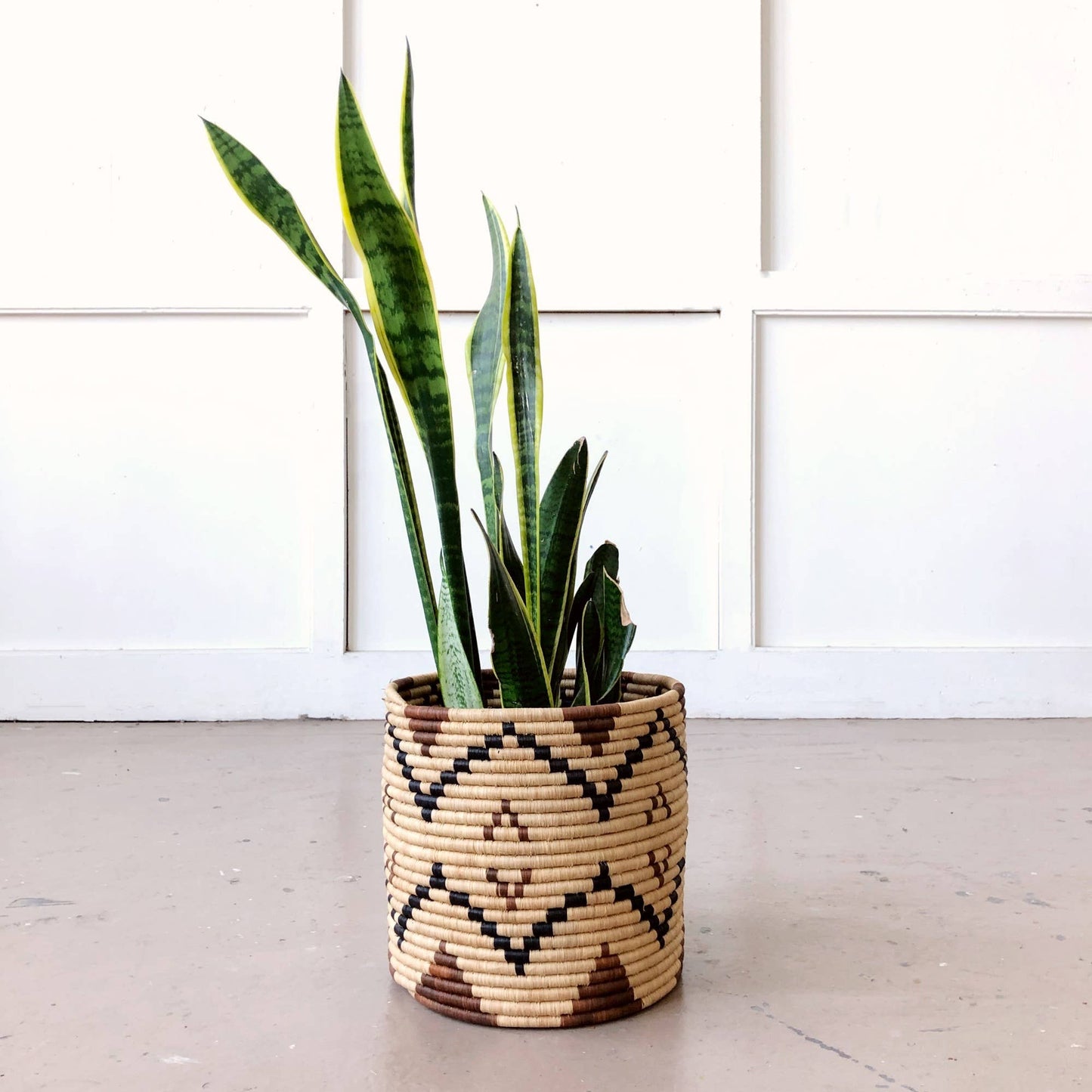 Storage Plant Basket: Ruzizi: 10" x 10"