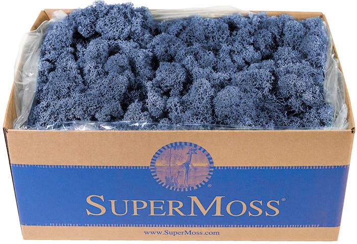 Reindeer Moss Preserved 3lb Bulk Box: Chartreuse