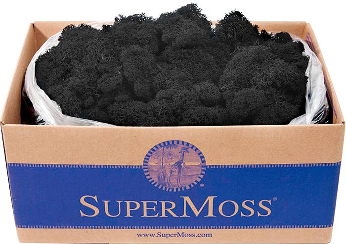 Reindeer Moss Preserved 3lb Bulk Box: Chartreuse