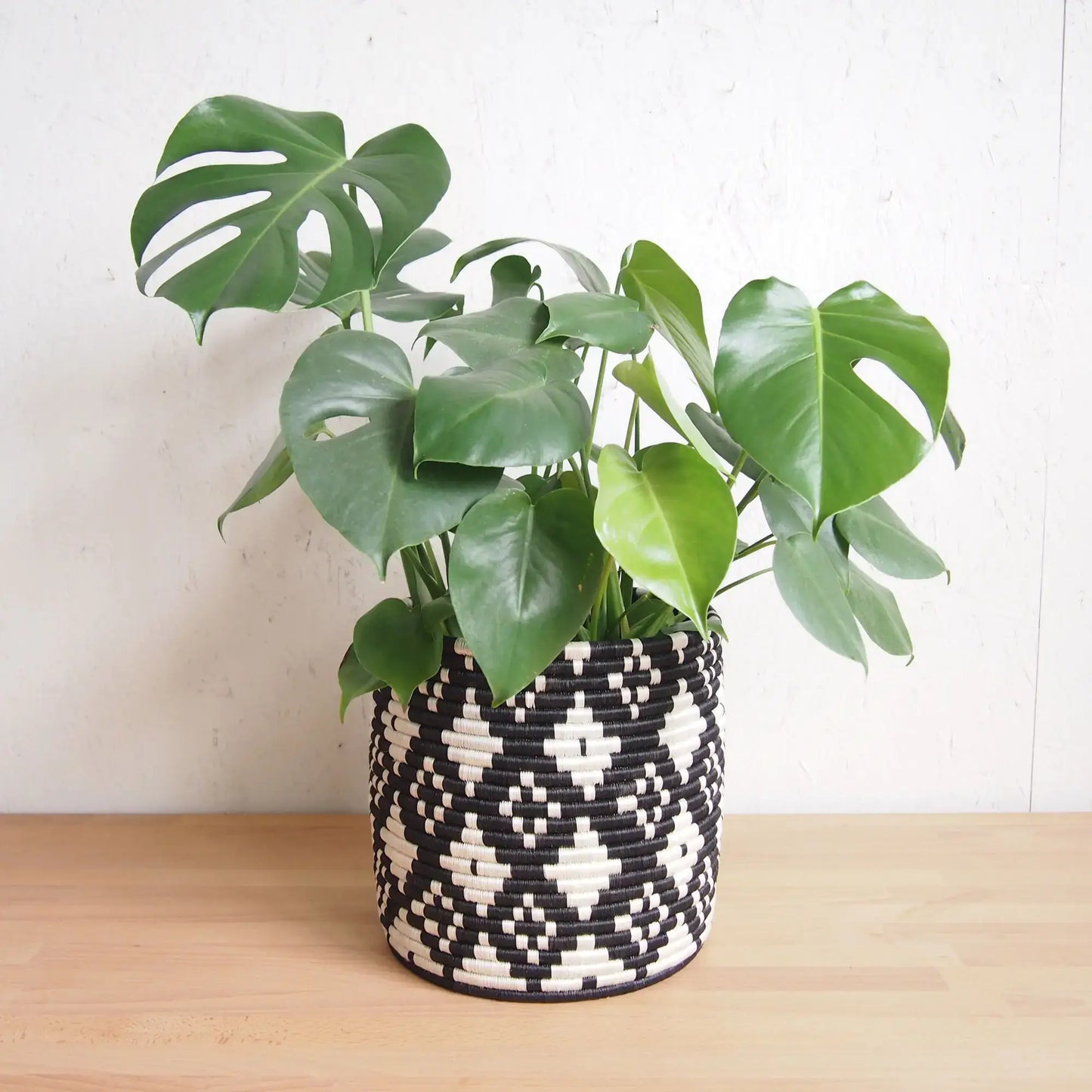 Storage Plant Basket: Ndora: 10" x 10"