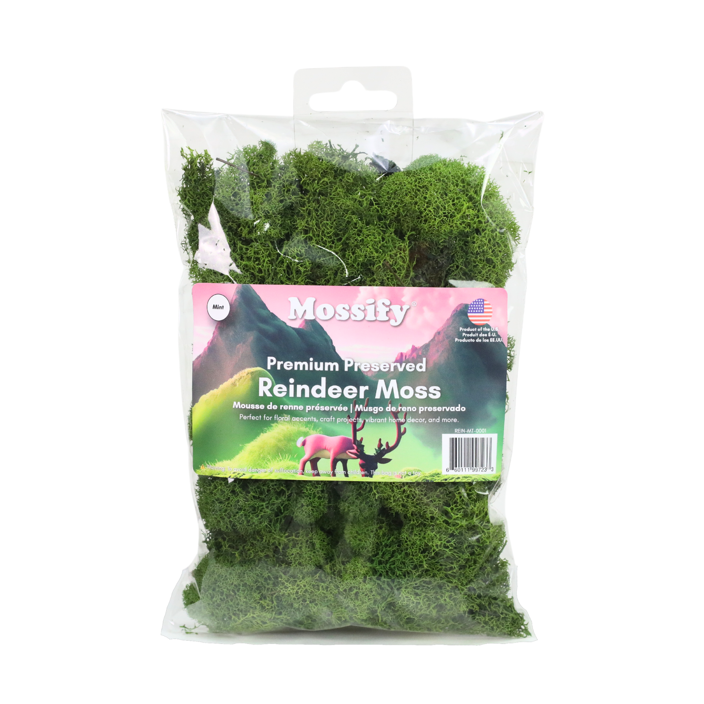 Premium Reindeer Moss - Small Bag: Kiwi