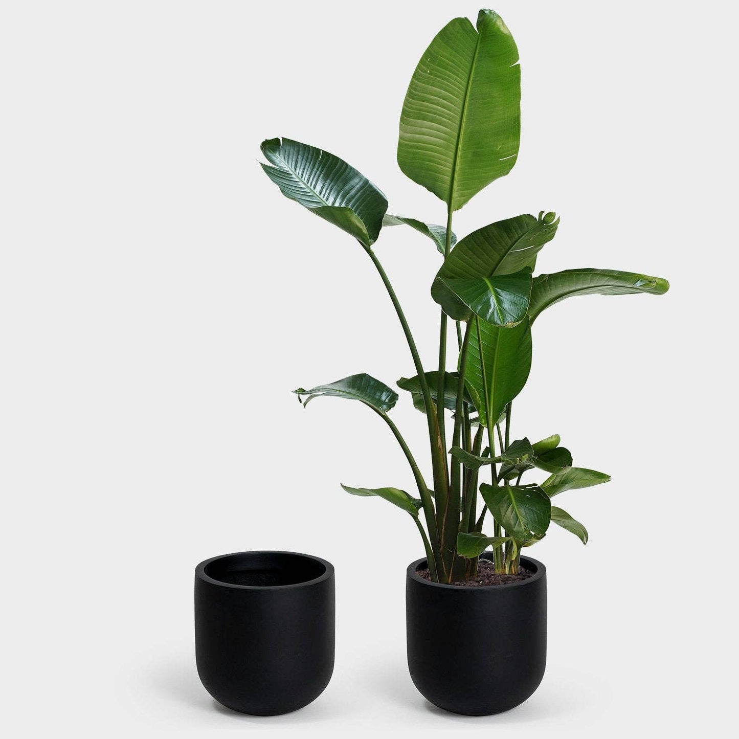 Wythe 30 Large Planter: Slate
