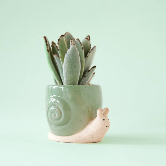 Snail Planter | Lagoon: M