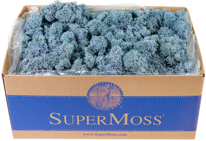 Reindeer Moss Preserved 3lb Bulk Box: Chartreuse