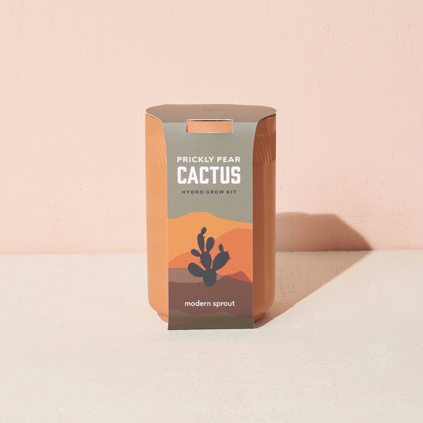 Terracotta Grow Kit: Desert Rose Bonsai