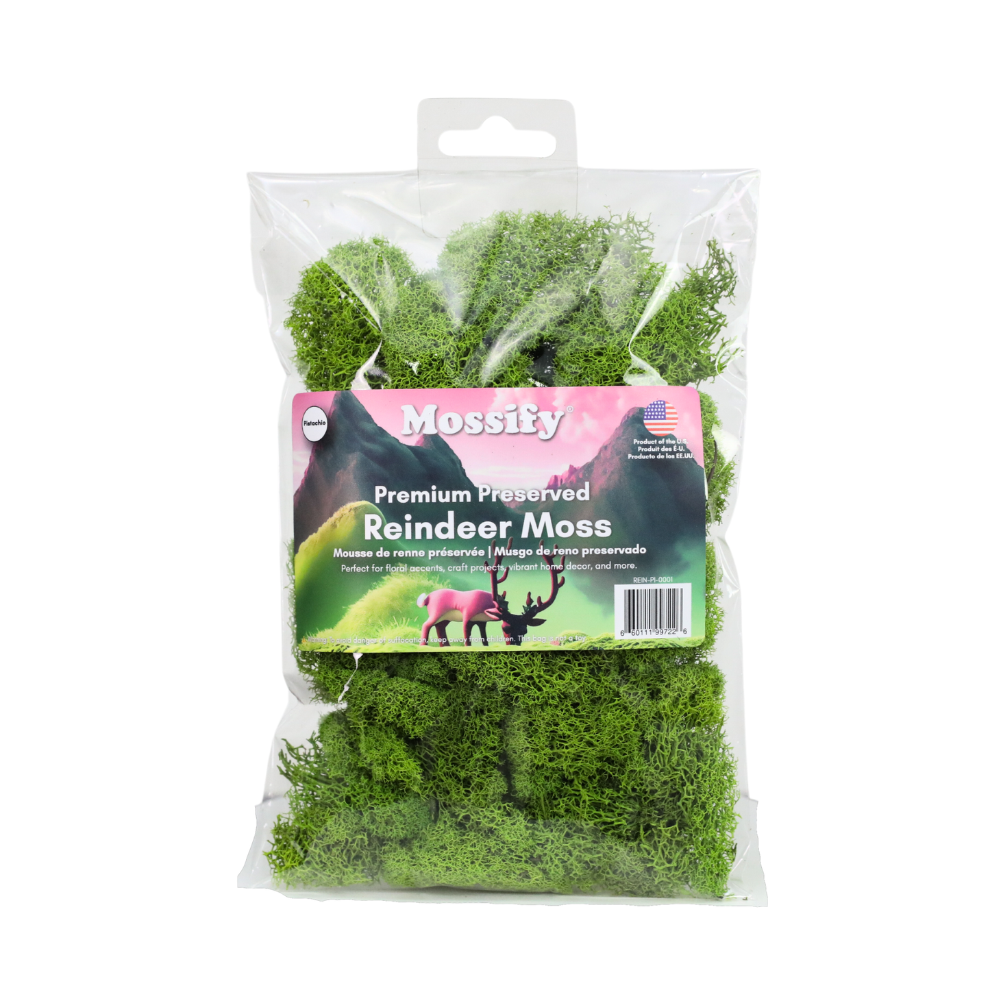 Premium Reindeer Moss - Small Bag: Kiwi