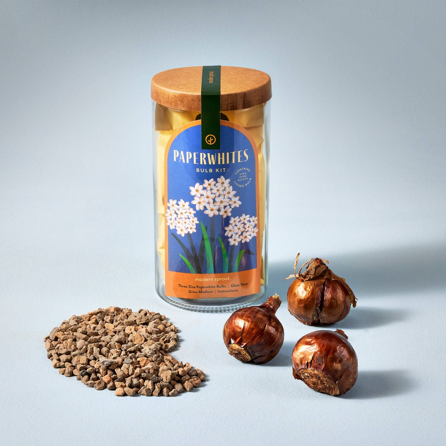 Winter Bulb Kit: Paperwhites