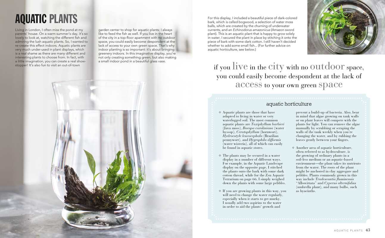 Joy of Living with Plants by Isabelle Palmer