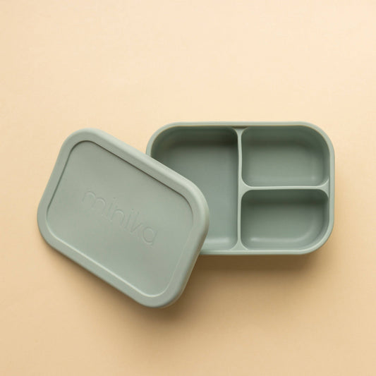 Bento box - Sage
