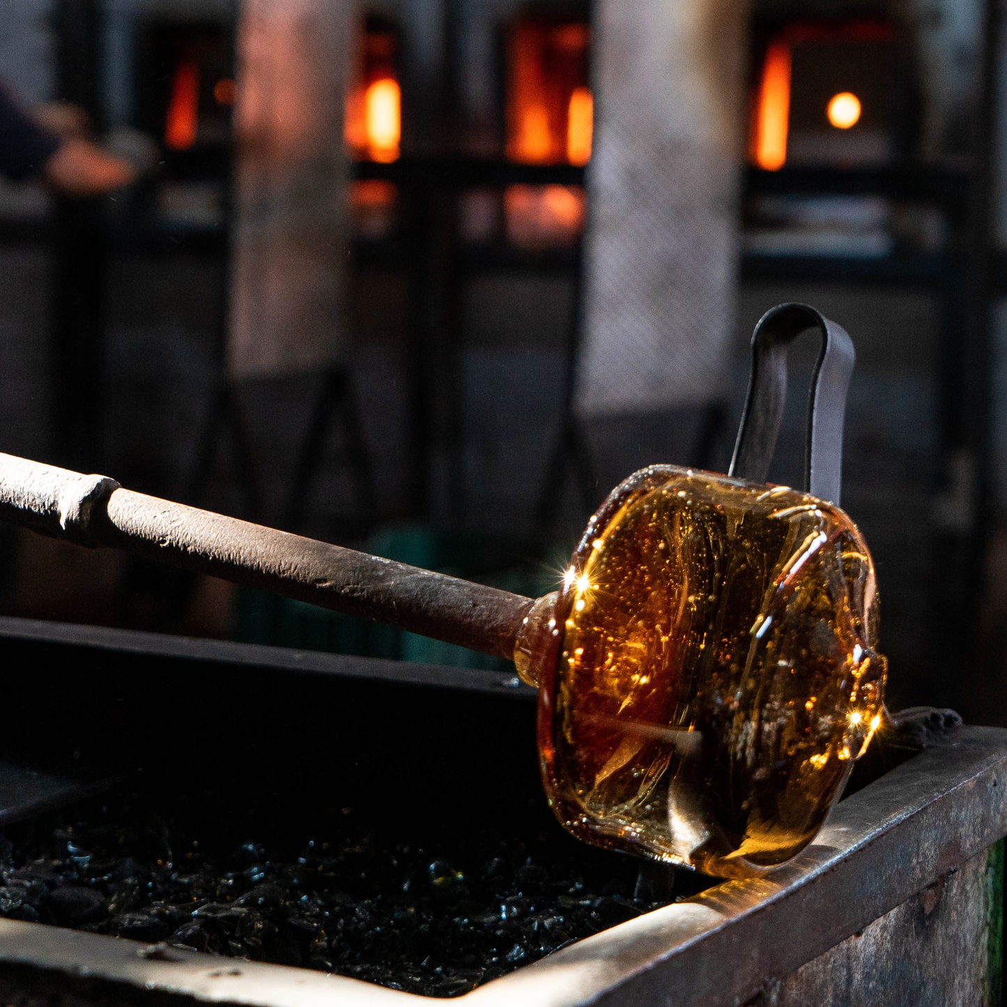 NEW Beeswax Botanica Candle in Blown Glass: Spruce / 8 oz