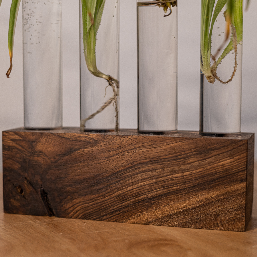 Handmade Propagation Station: Ethically Sourced Redwood