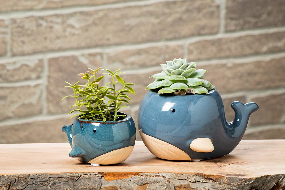 Blue Whale Planter- 3" H