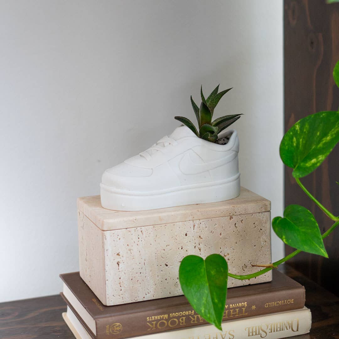 Force Sneaker Plant Pot