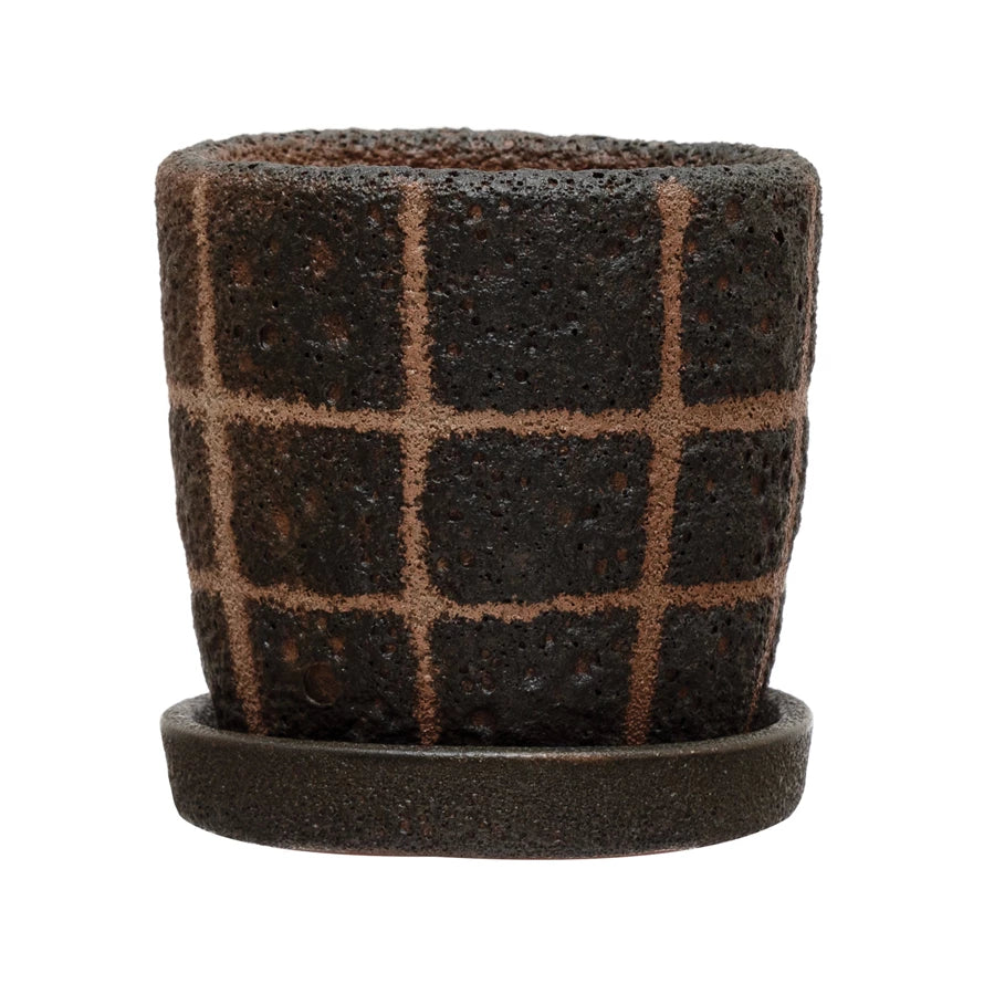 Checkered Black Planter w/Saucer & Plant