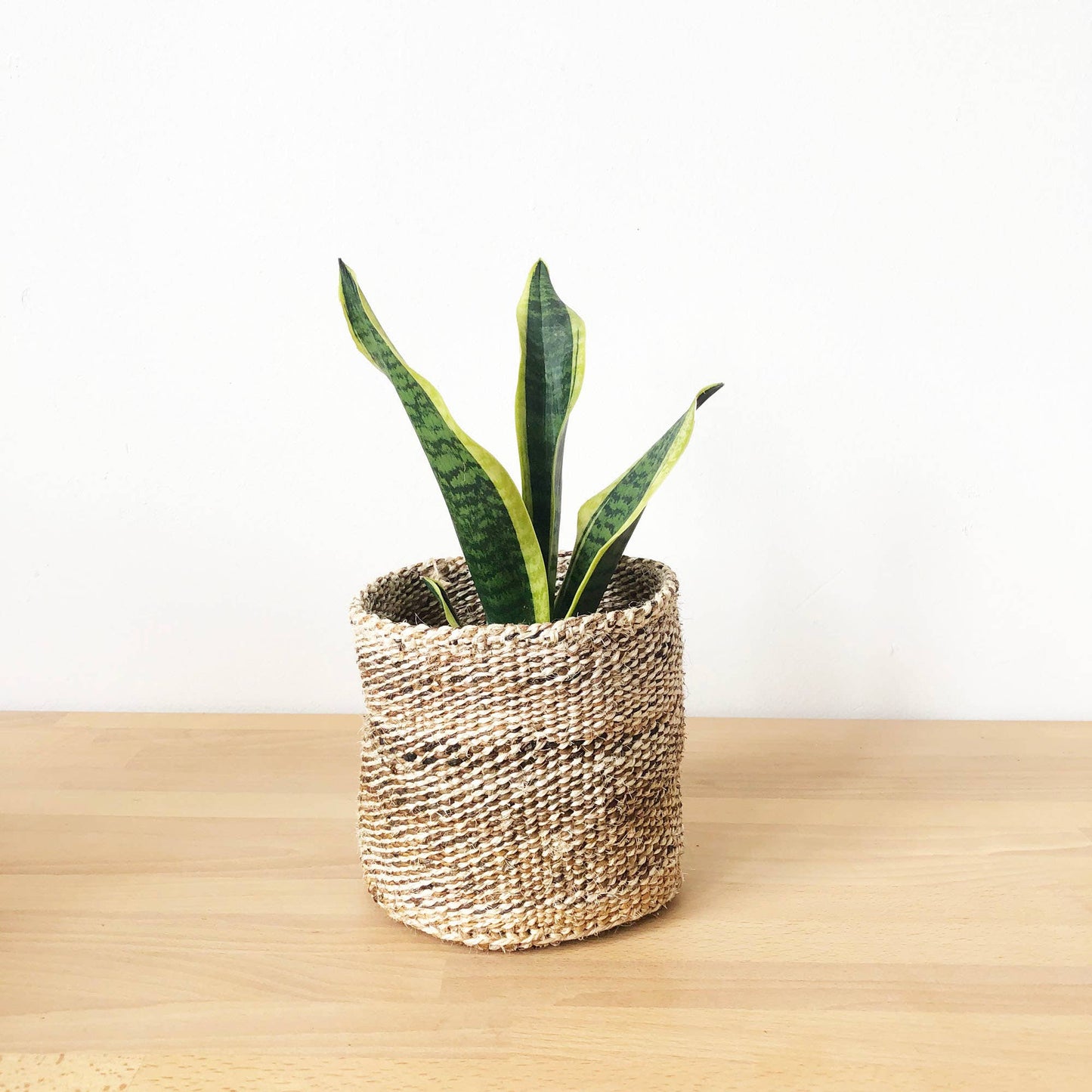 Storage Plant Basket: Banana Leaf