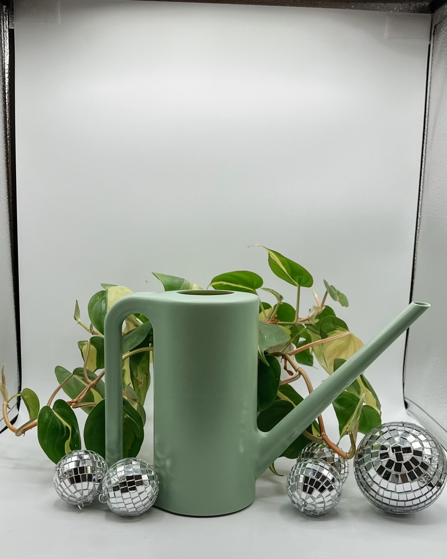 Packer Plant Co Watering Can | 1.2L | Houseplant Accessory