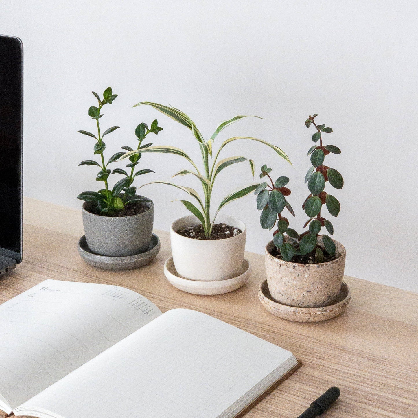 Recycled Mini Planters