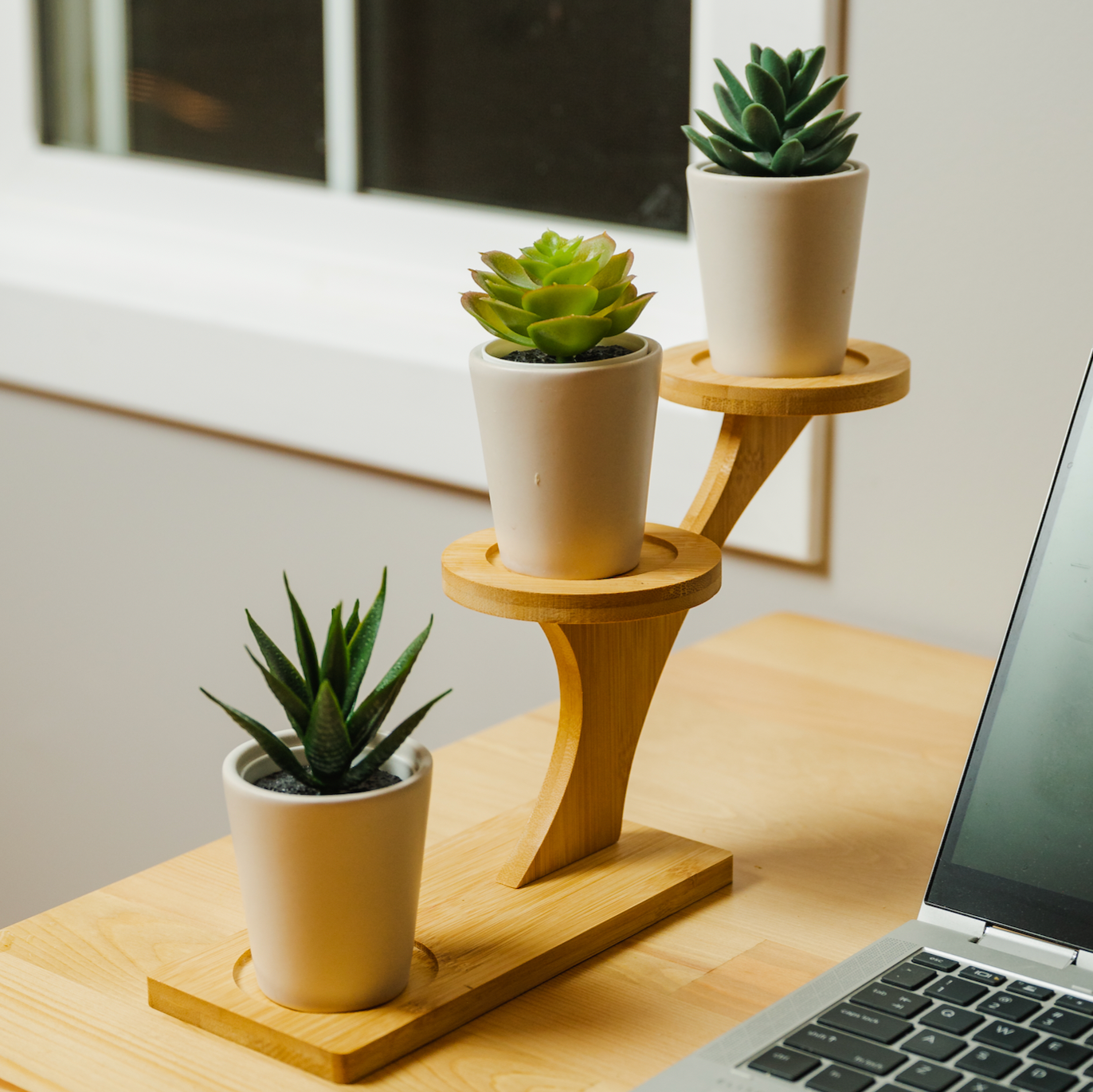 Bamboo Succulent Plant Stand | Plant Lover Bestseller