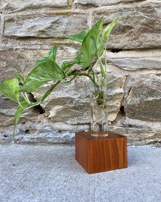 Cedar Block Propagation Station (Double)