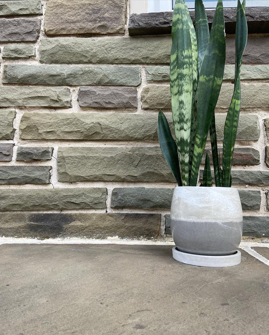 4.5" Planter w/Drip Tray