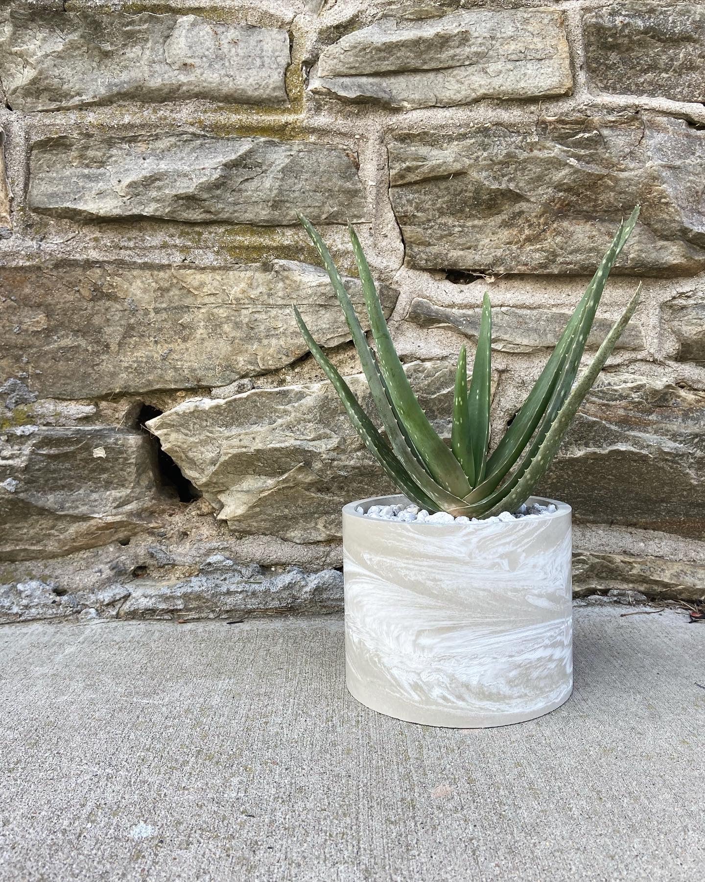 6" Planter