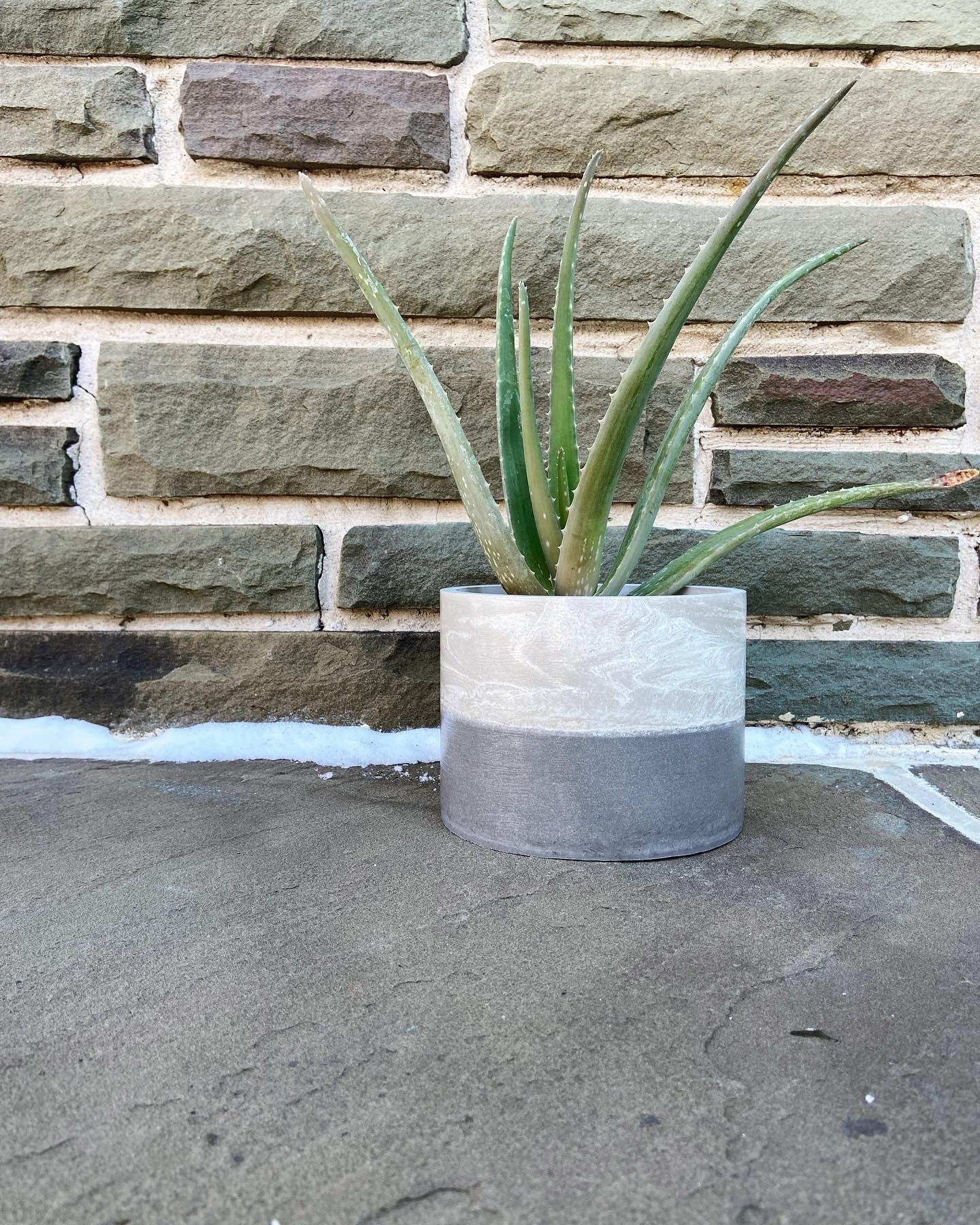 6" Planter