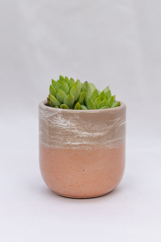3.5" Tulip Planter
