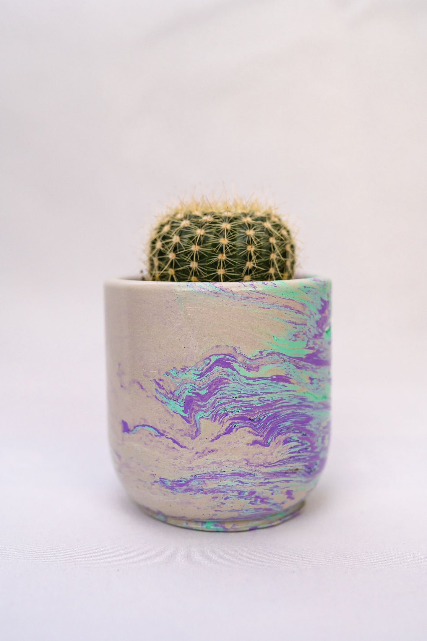 3.5" Tulip Planter w/Plant