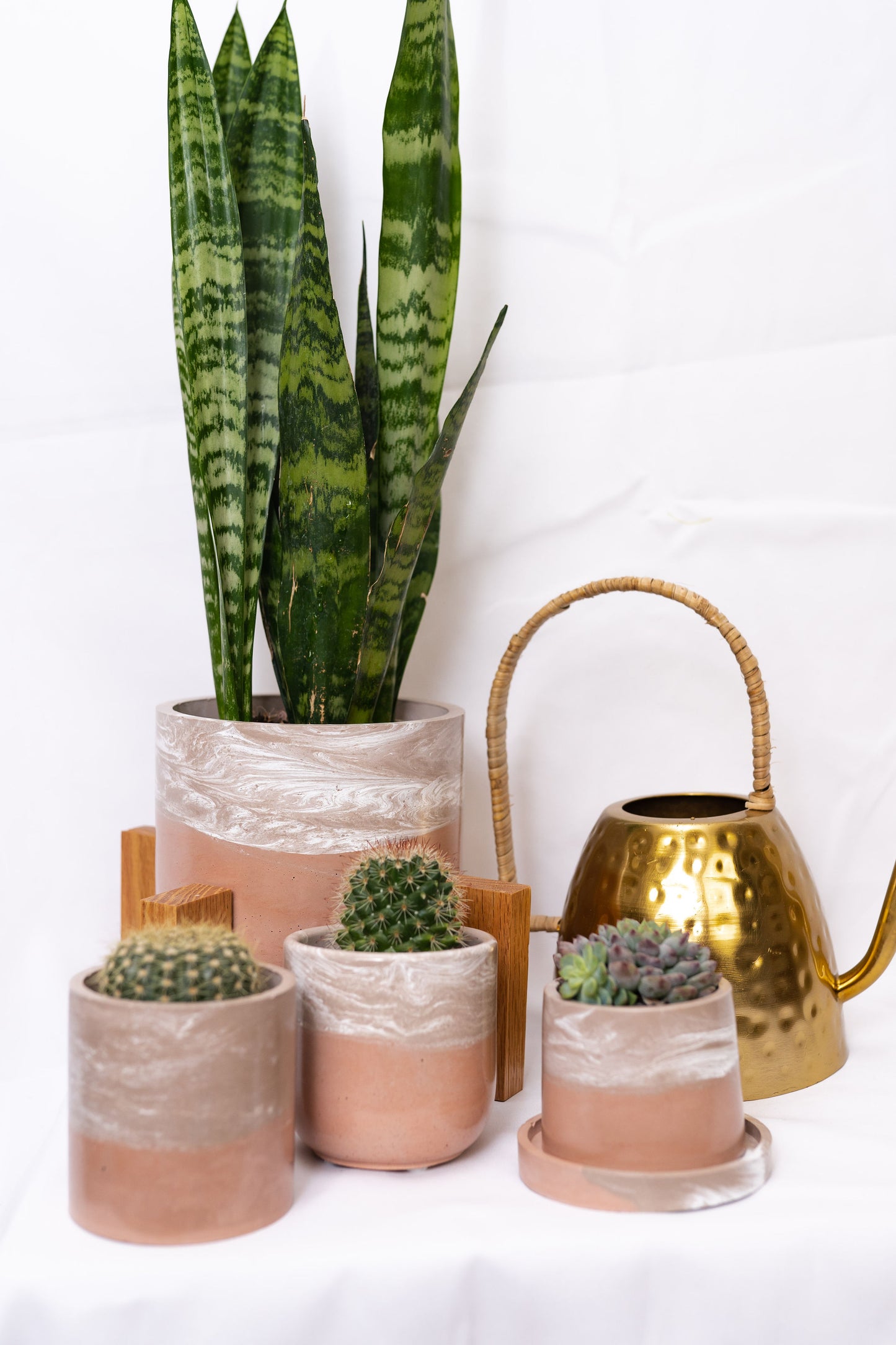 3.5" Tulip Planter