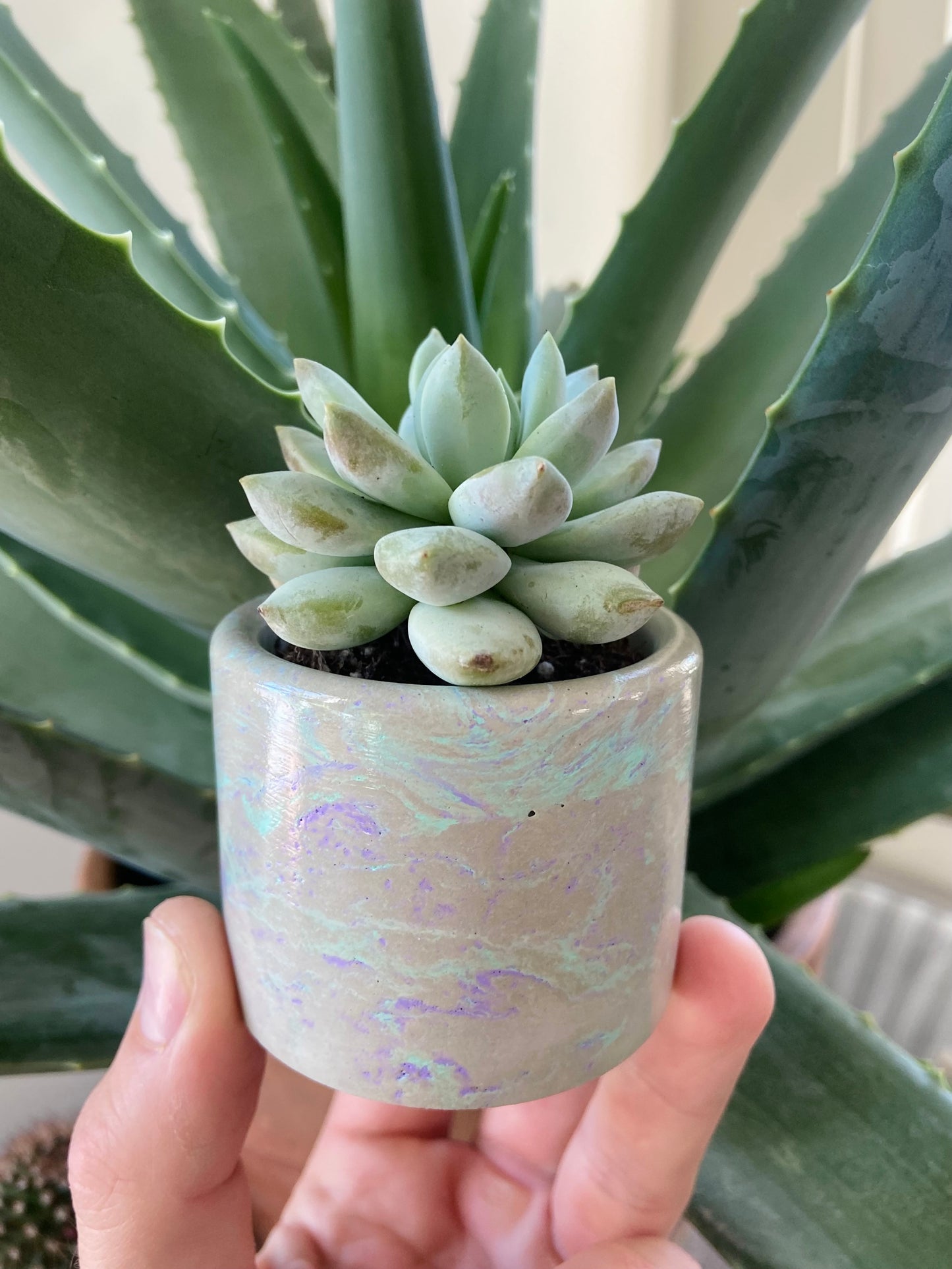 2" Planter