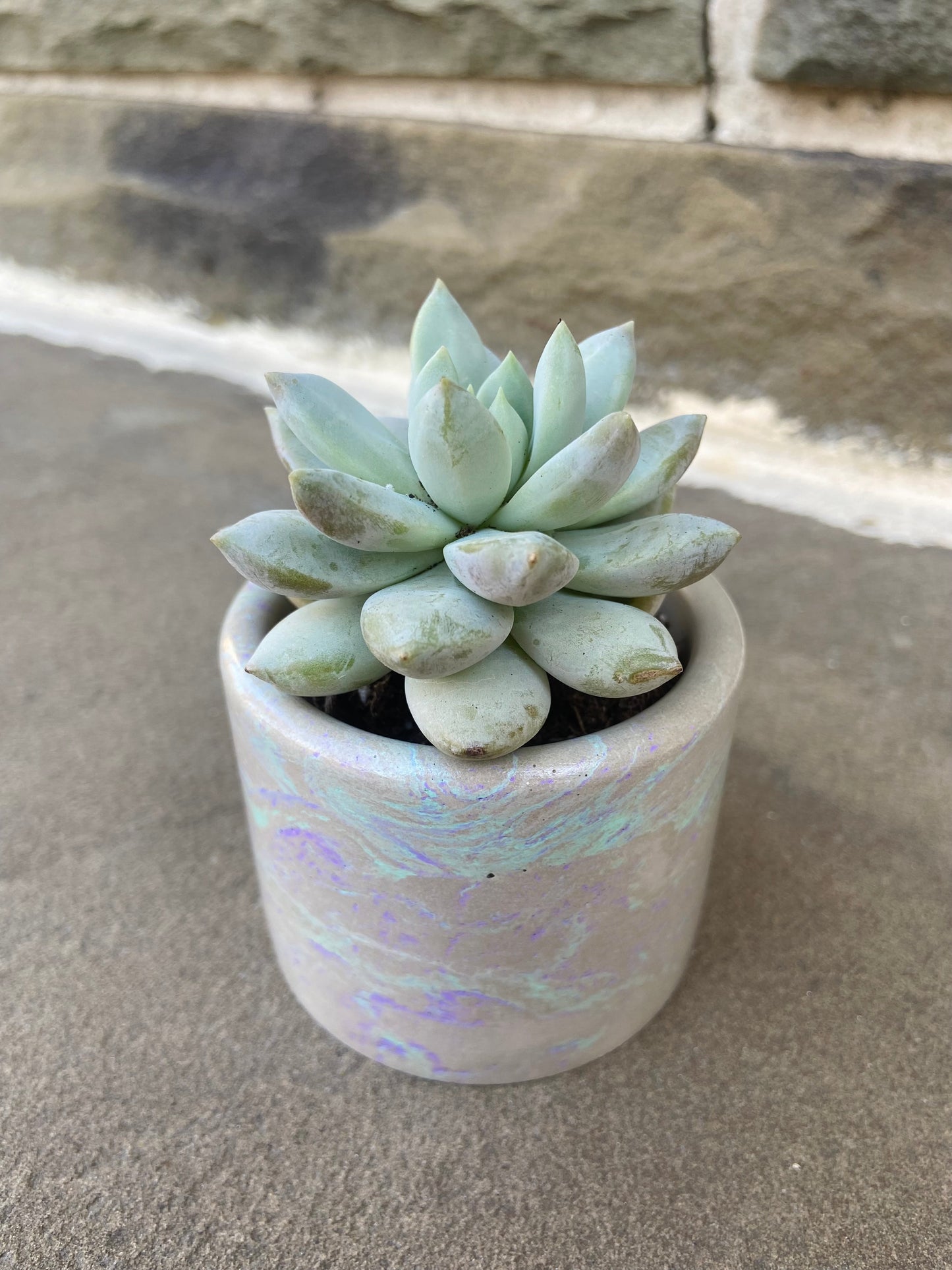 2" Planter