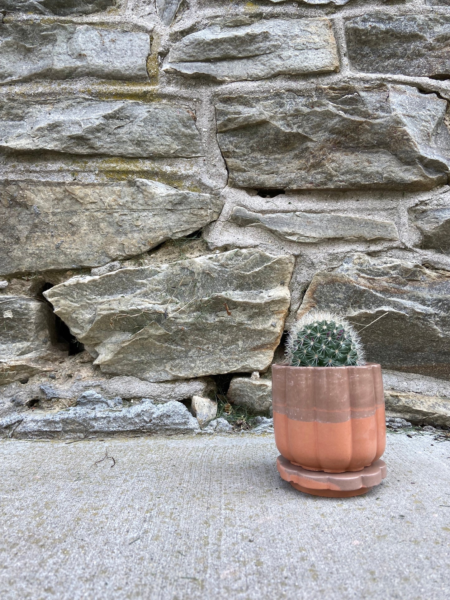 3.5" 'Flower Power' Planter w/Lid