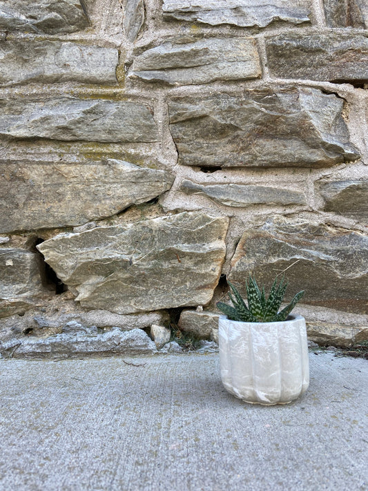 3.5" 'Flower Power' Planter w/Lid