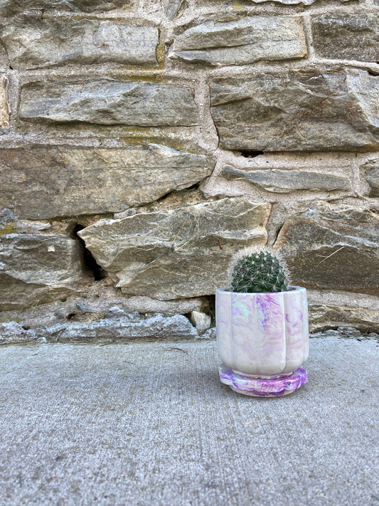 3.5" 'Flower Power' Planter w/Lid