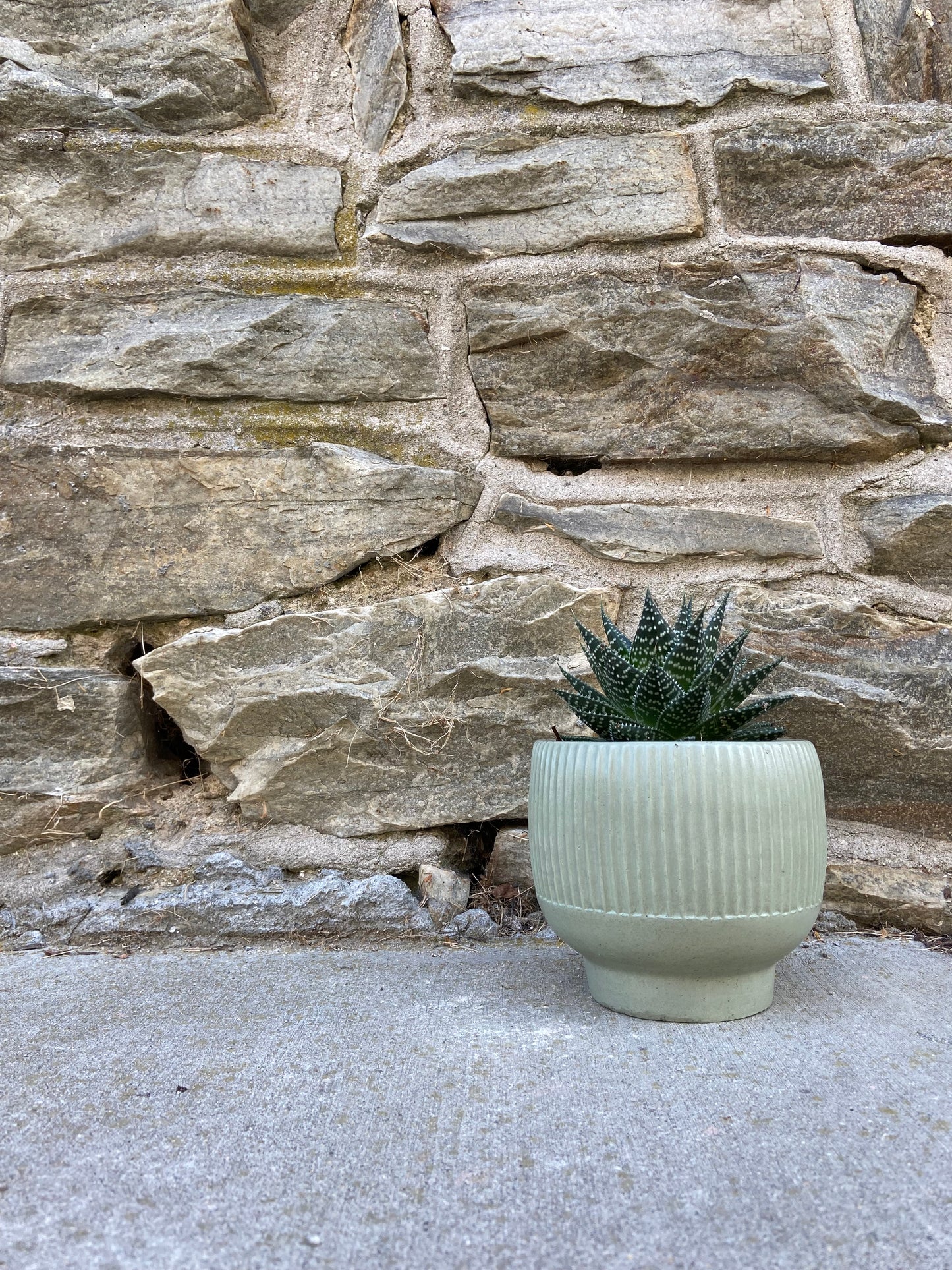 Modern Ridge Planter