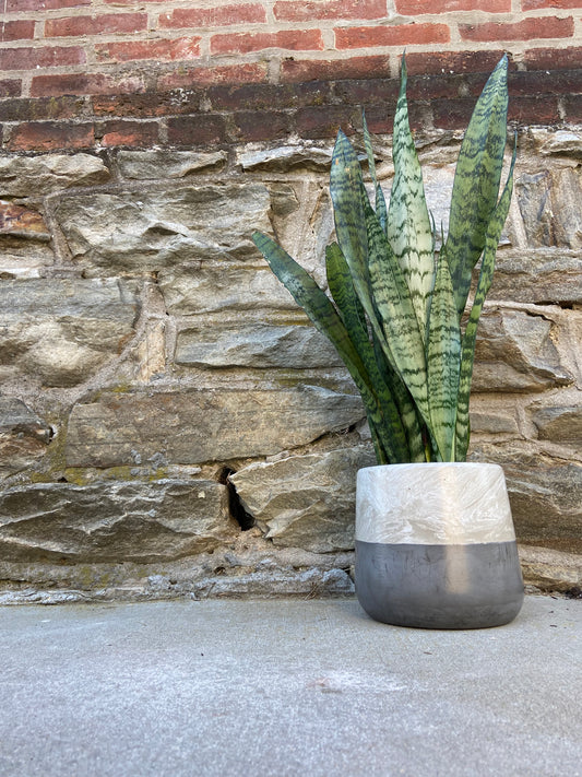 8" Bulbous Planter