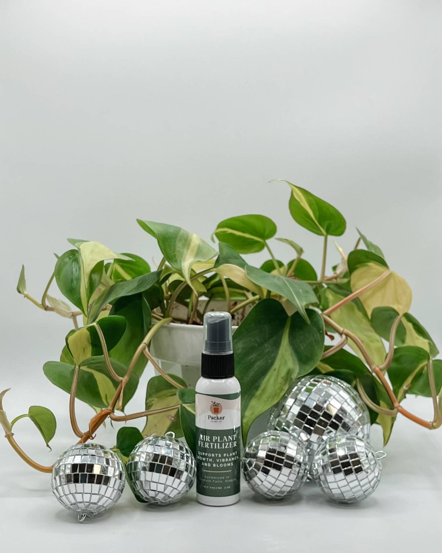 Organic Air Plant Fertilizer | 16-9-25