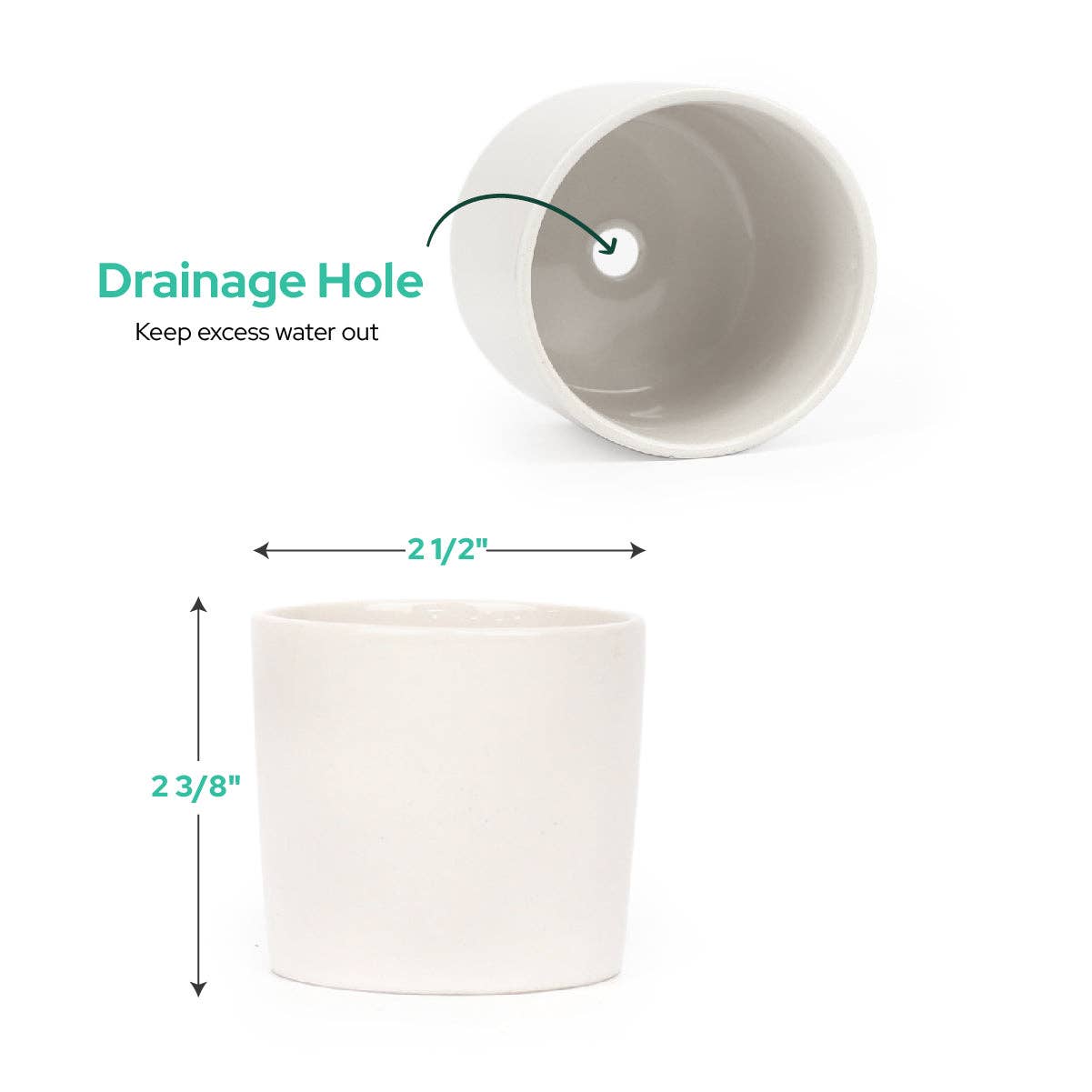 White Ceramic Plant Pot with Drainage, Pot for Succulents