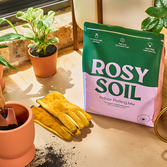 8qt Organic Potting Soil