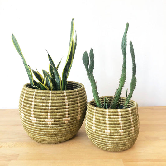 Honey Pot Basket: Gafunzo