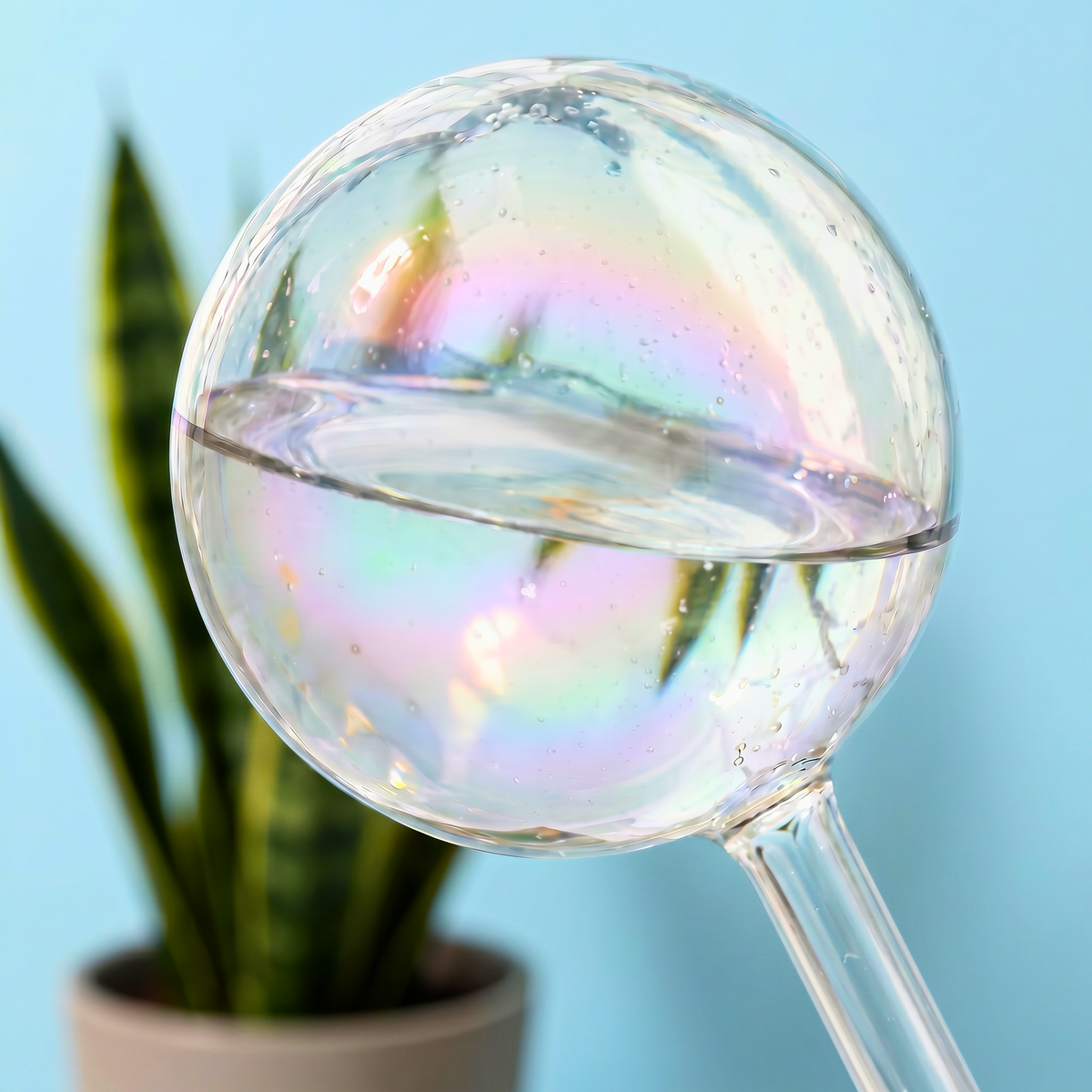 Self-Watering Globe Iridescent