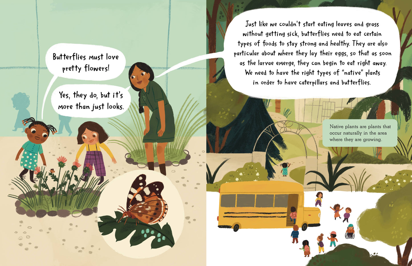 Story of a Butterfly, The (HC-Pic)