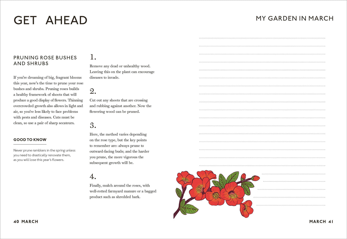 Your Gardening Year
