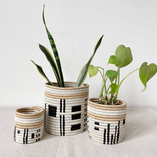 Storage Plant Basket: Busengo