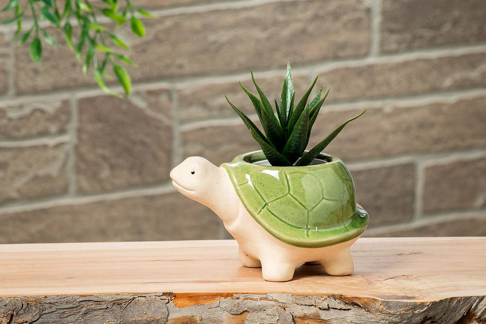 Sm Turtle Planter-Green