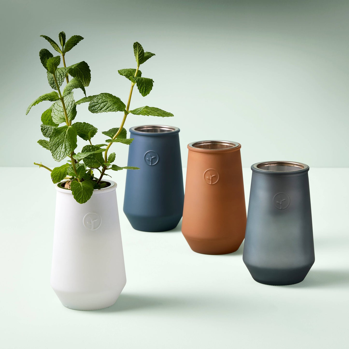 Tapered Tumbler: Mint