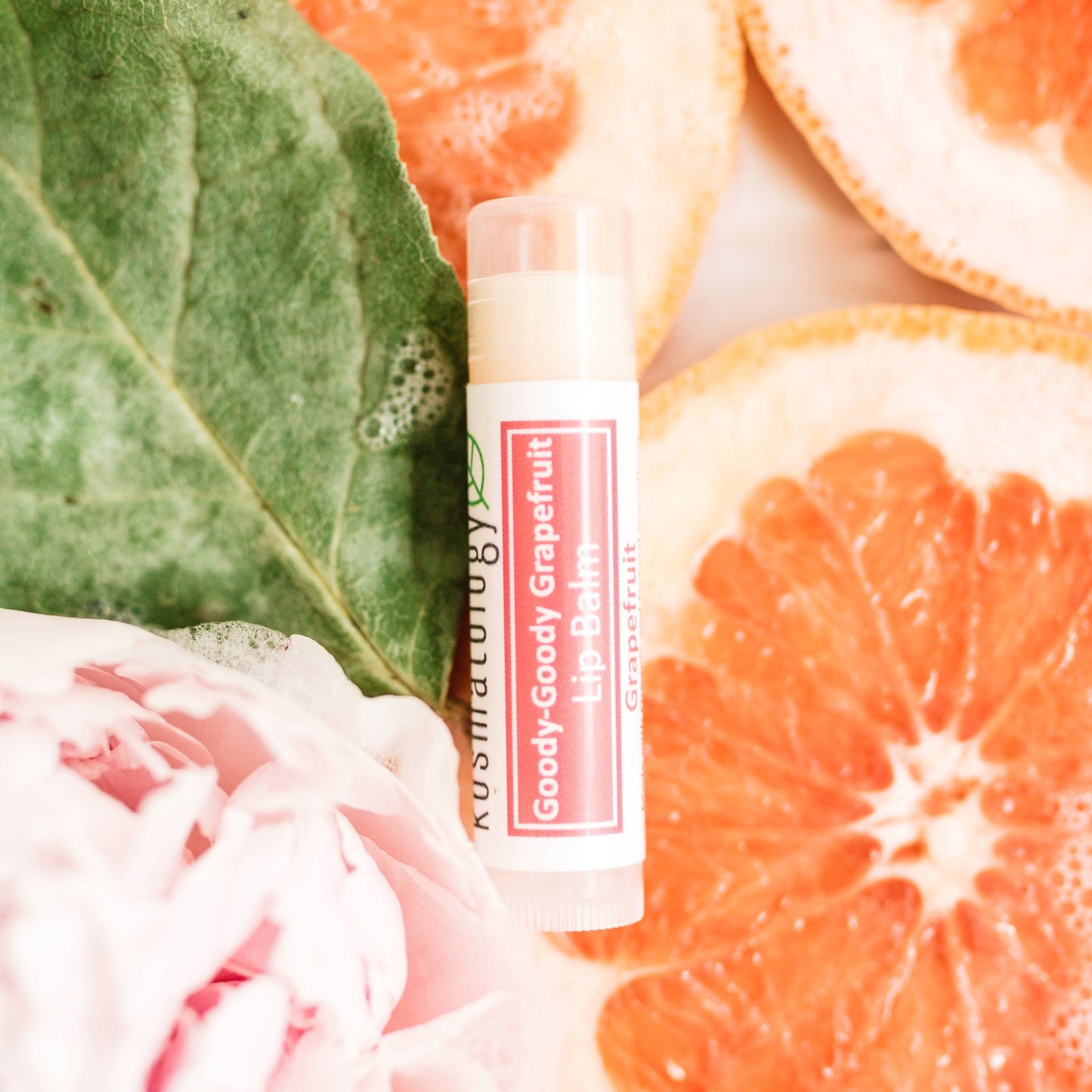 Lip Balm | Organic & Infused with Essential Oils : Minty Madness (Peppermint Eucalyptus)