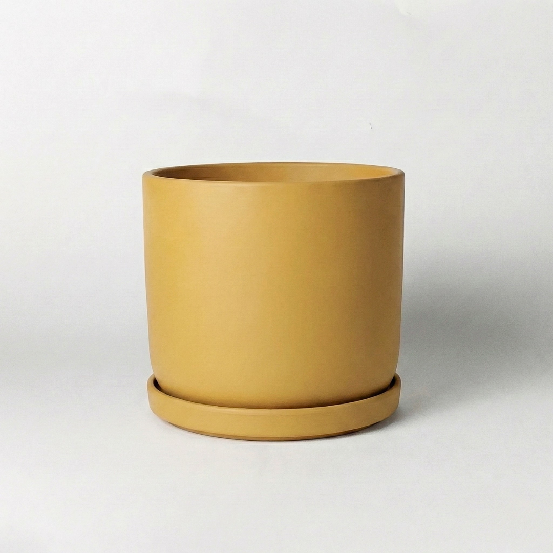9" Signature Stone Planter & Saucer | Earth Tones