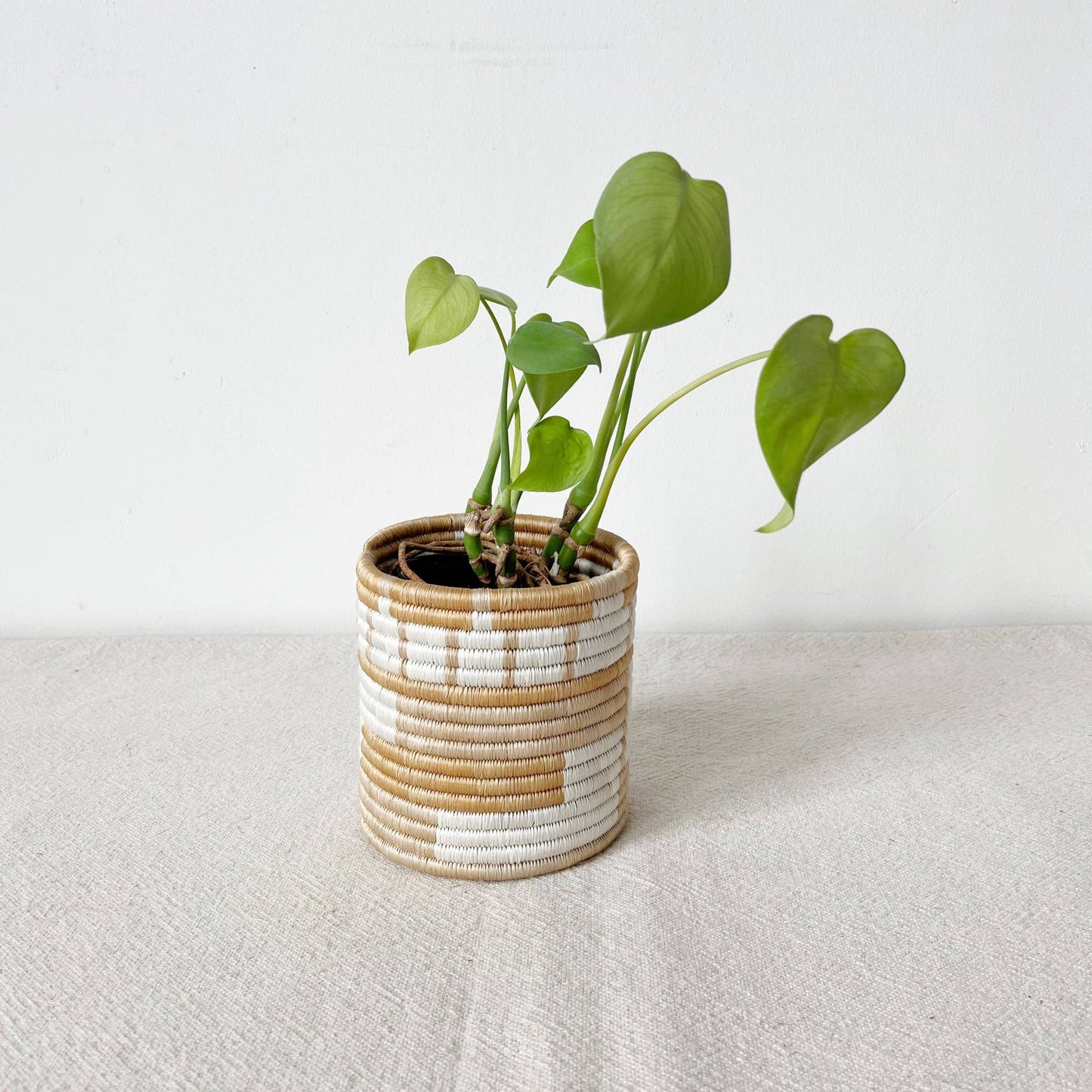 Storage Plant Basket: Bushoki
